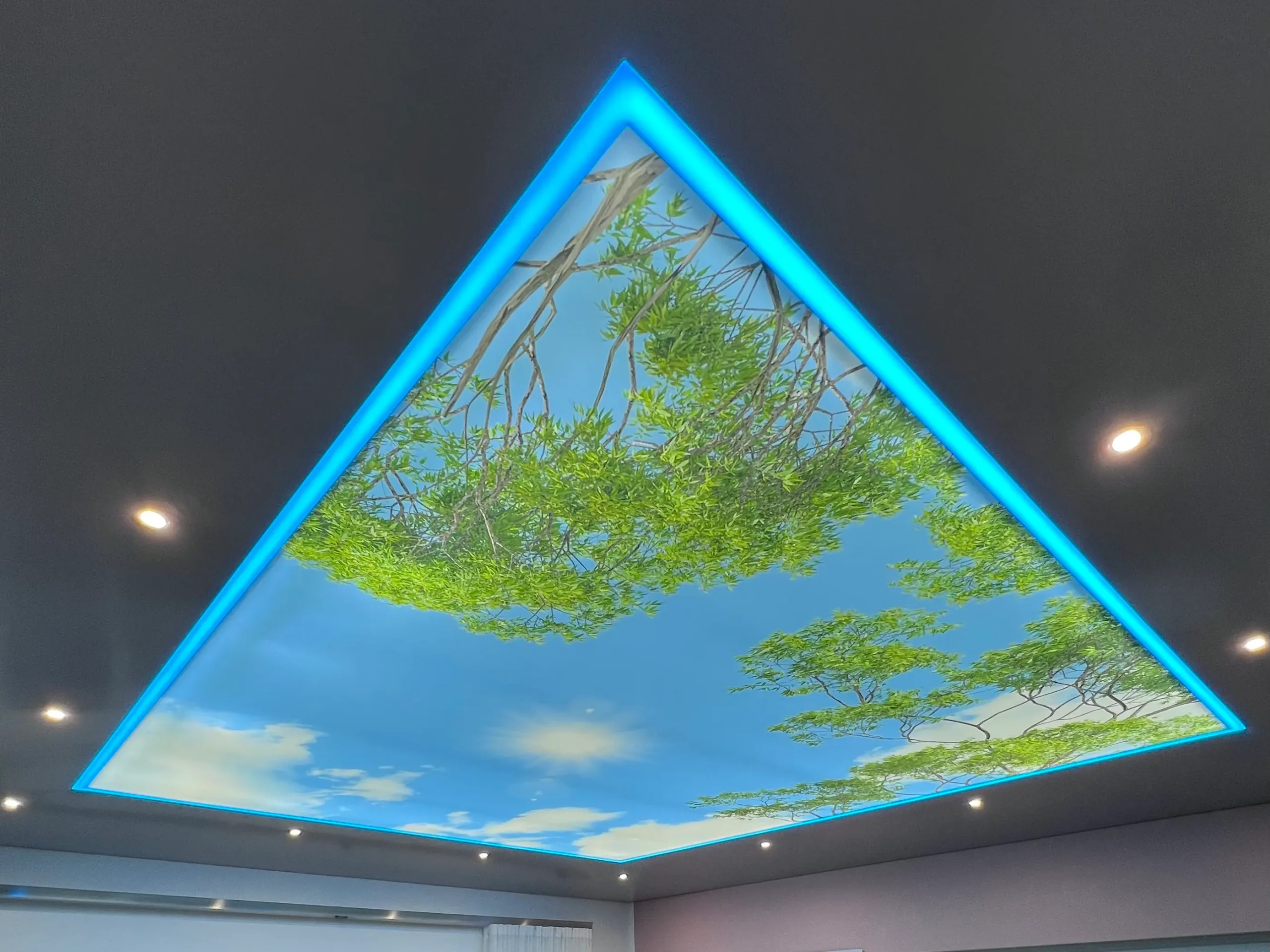 Bedruckte Lichtdecke mit Naturmotiv und blauem LED-Rahmen